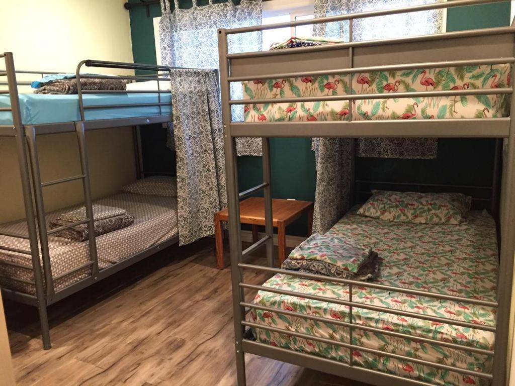 Bed in 6-Bed Dormitory Room