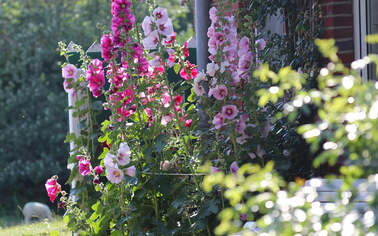 Double Room Garden View