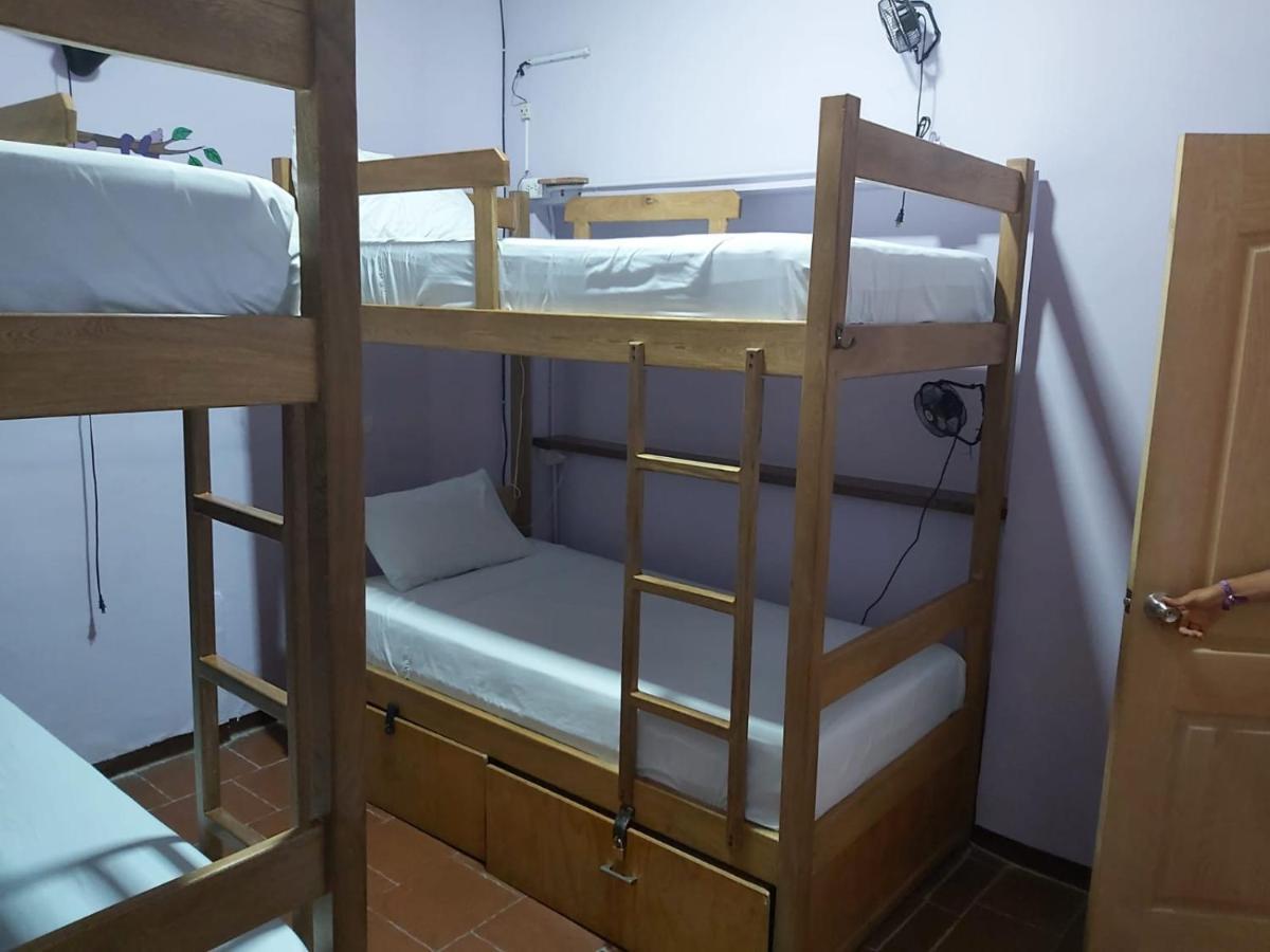 Bed in 4-Bed Mixed Dormitory Room