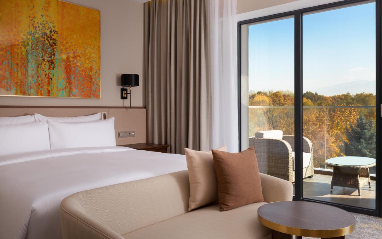 Deluxe King Room with Mountain View,1708265140:JPEG