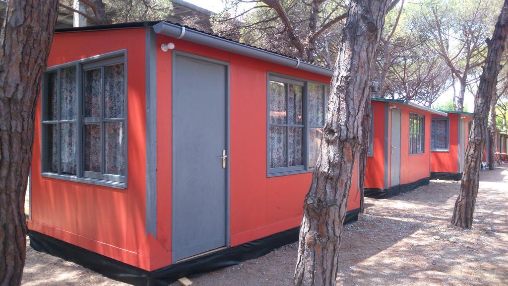 Caravane X