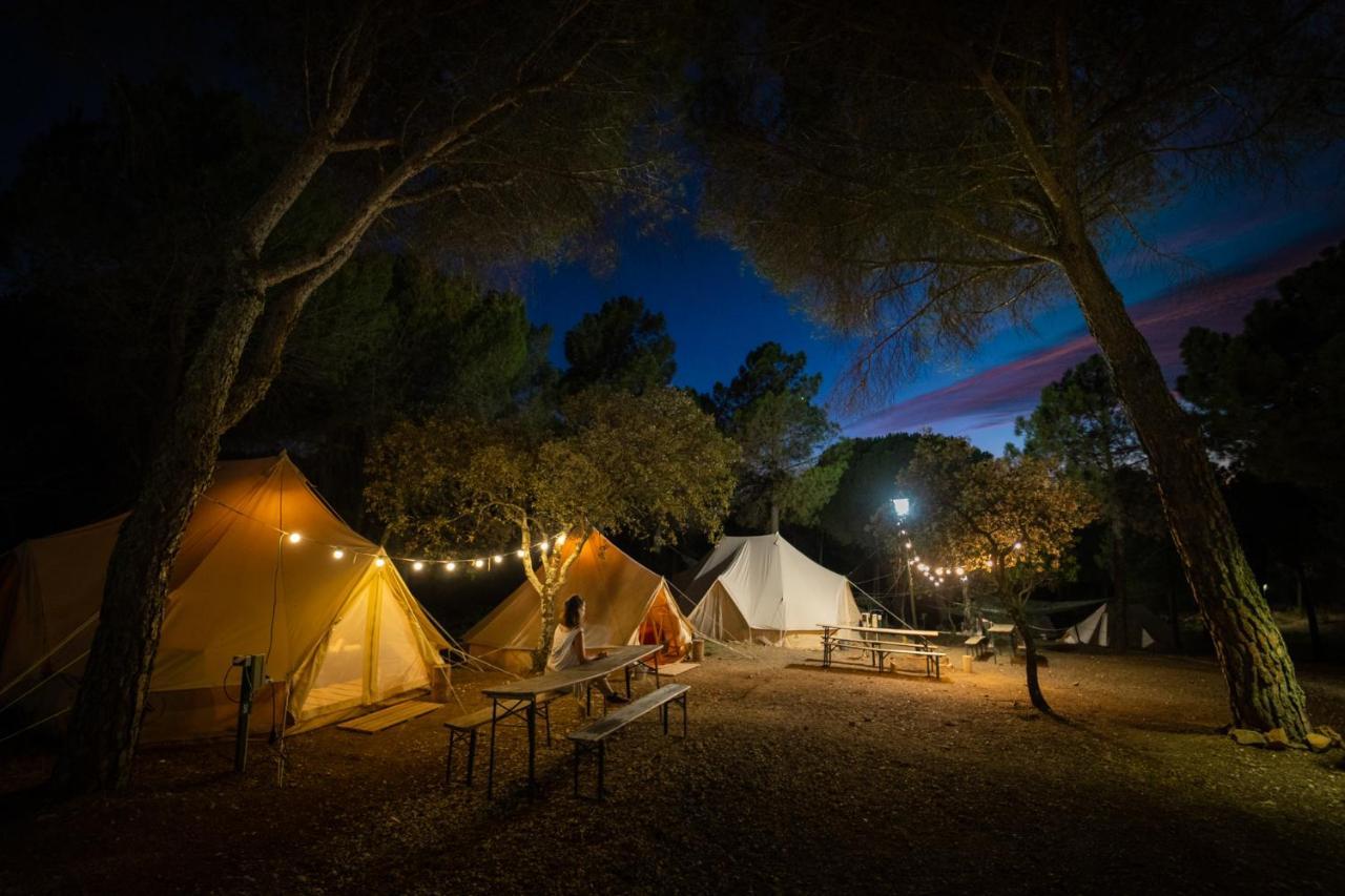 Emperador Tent,1499583175:JPEG