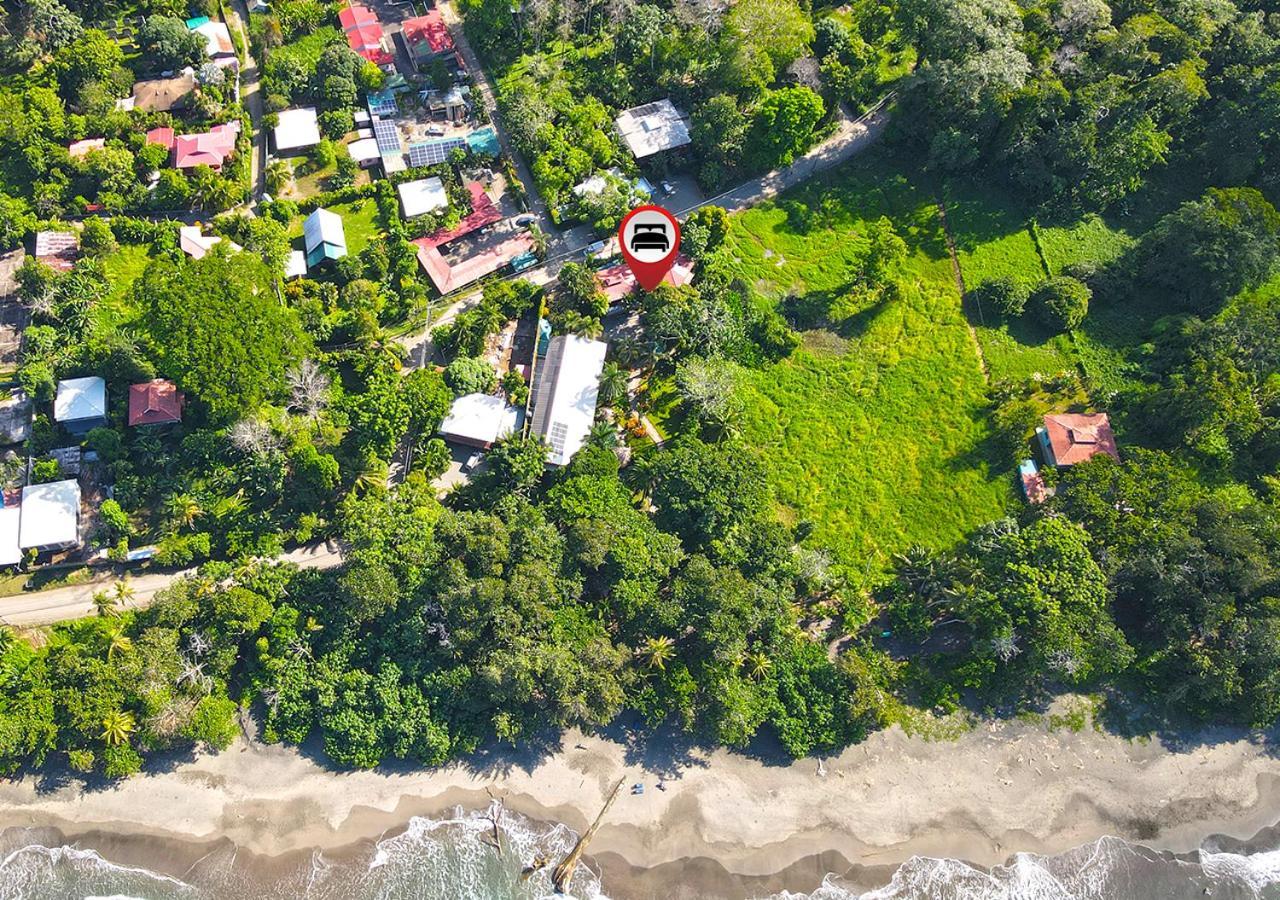 Sloth Caribbean Cabina