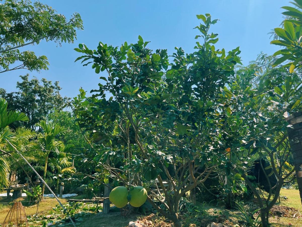 Suite con Vista Giardino