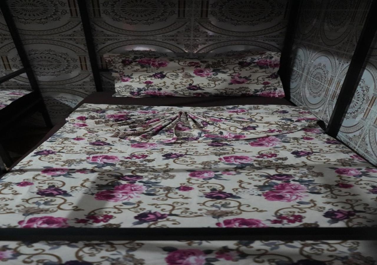 Bunk Bed Mixed Dormitory Room