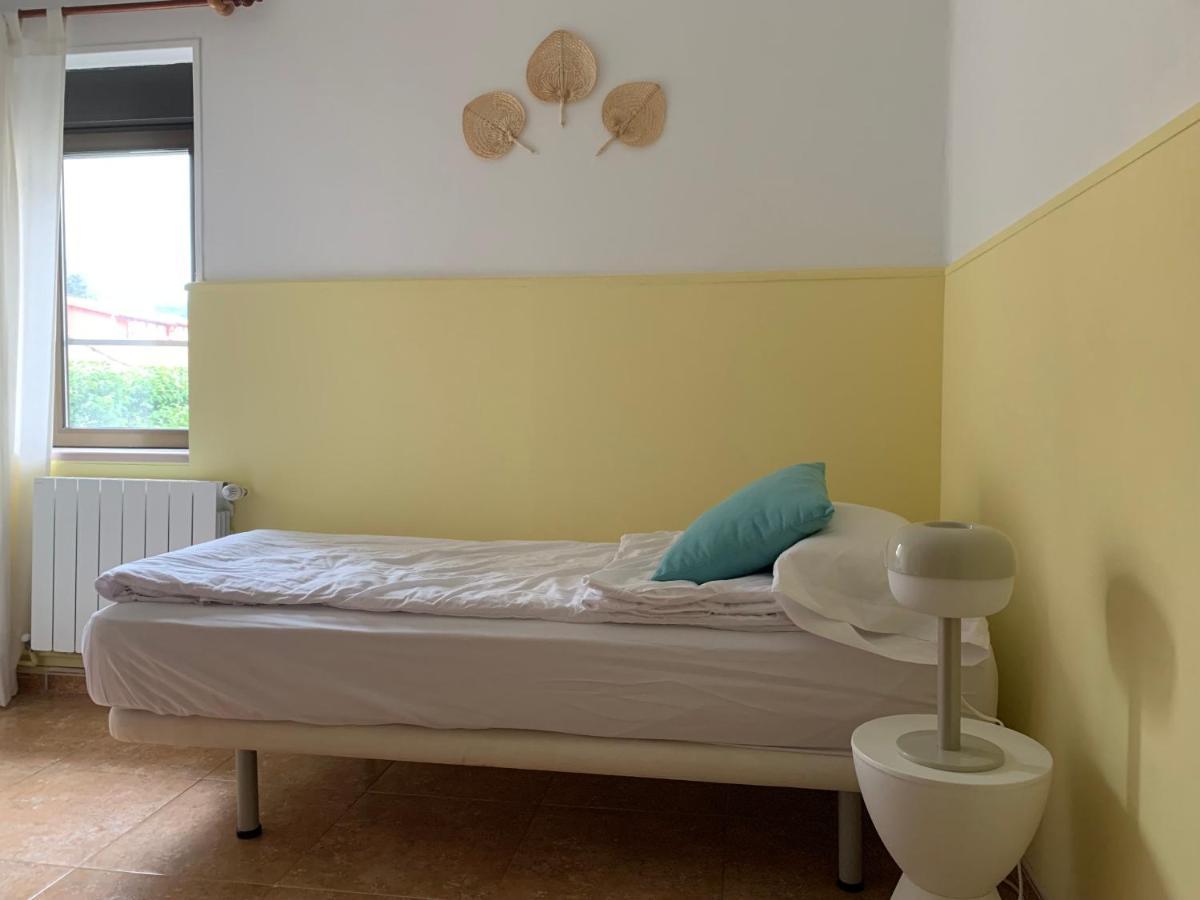 Bunk Bed Mixed Dormitory Room
