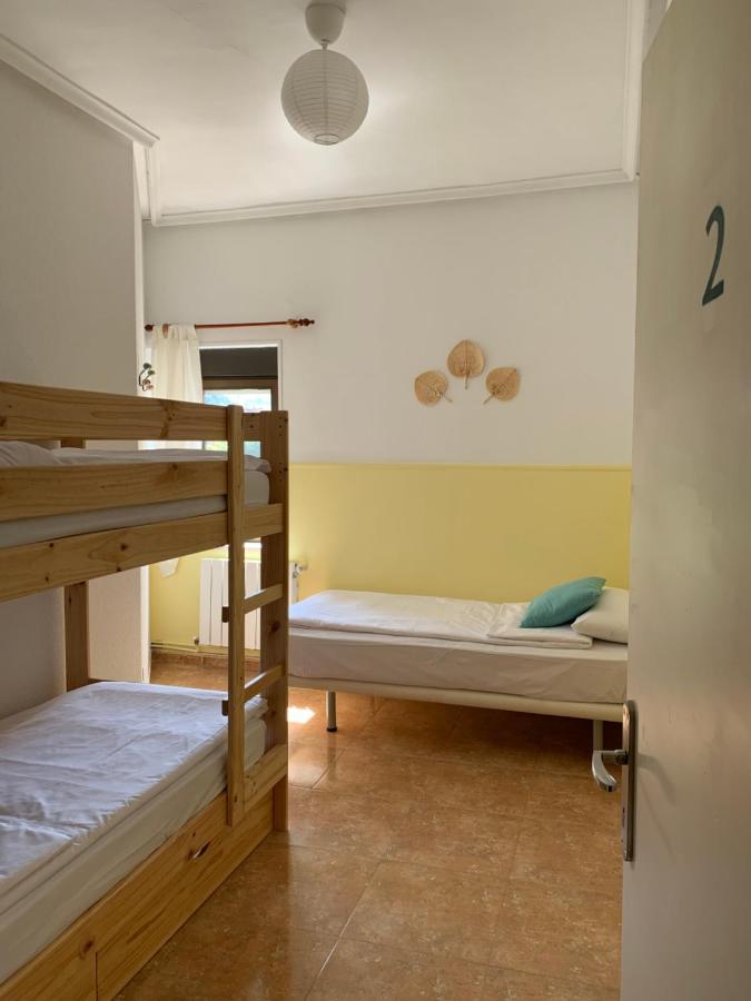 Bunk Bed Mixed Dormitory Room