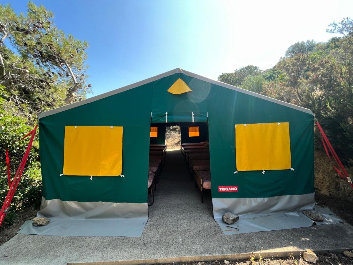 Tent,1417782342:JPEG