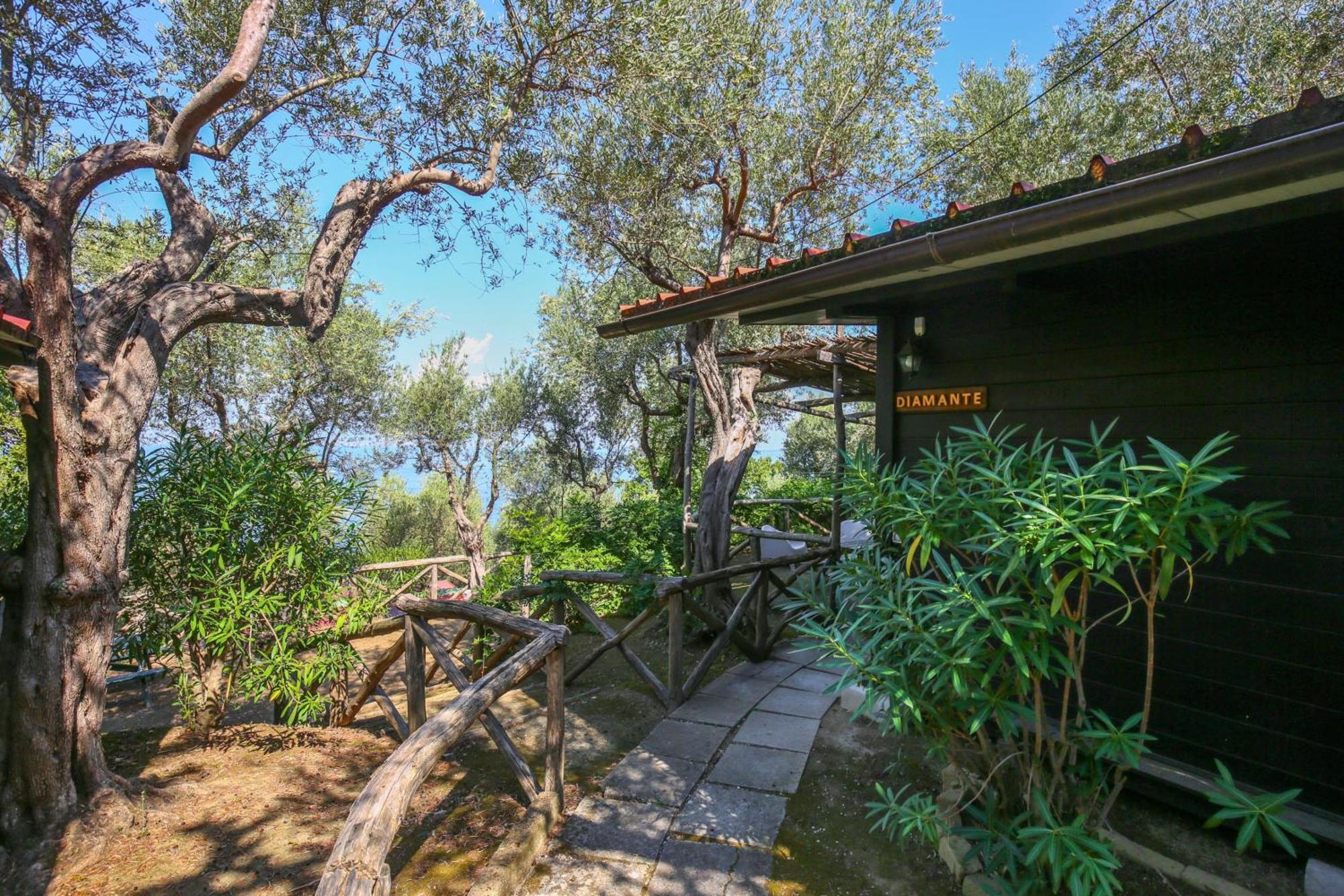 Superior Bungalow