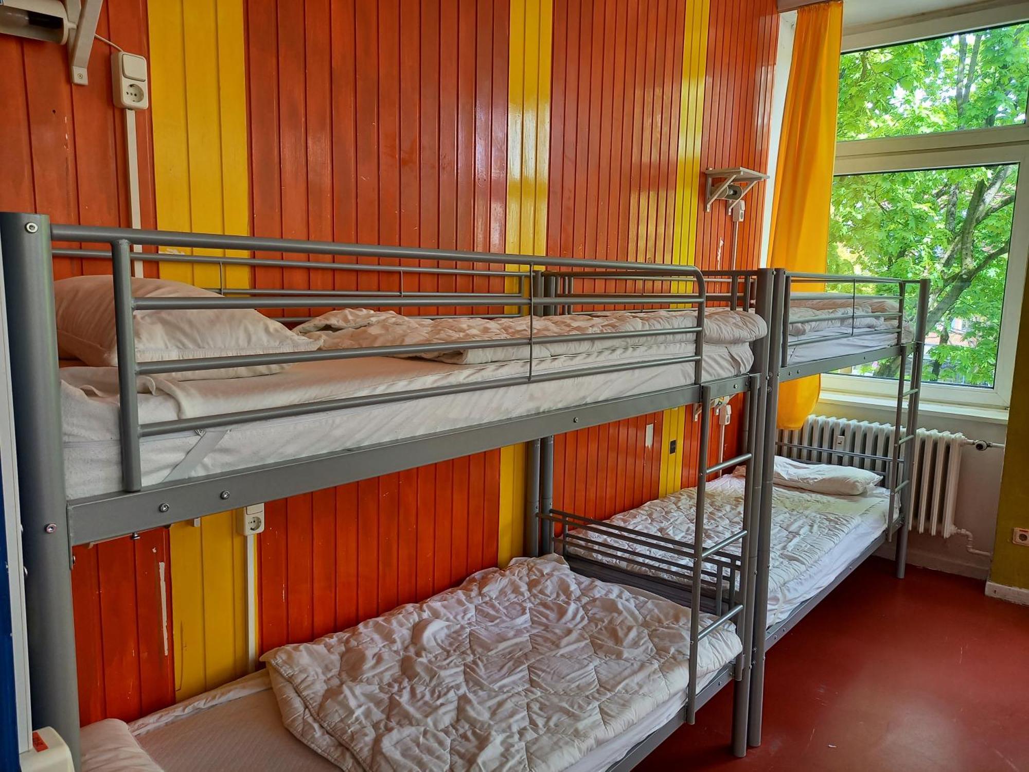 Bunk Bed in Mixed Dormitory Room,1580811541:JPEG