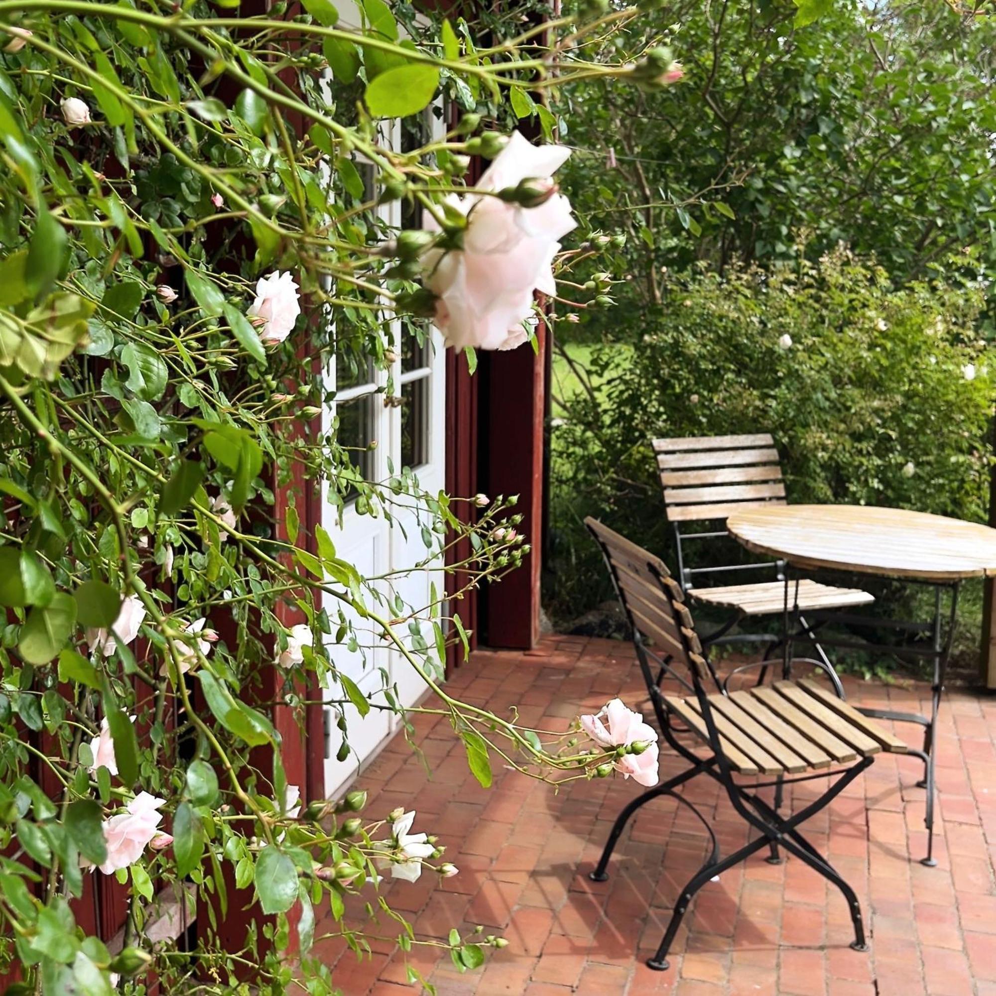 Doppelzimmer mit Terrasse