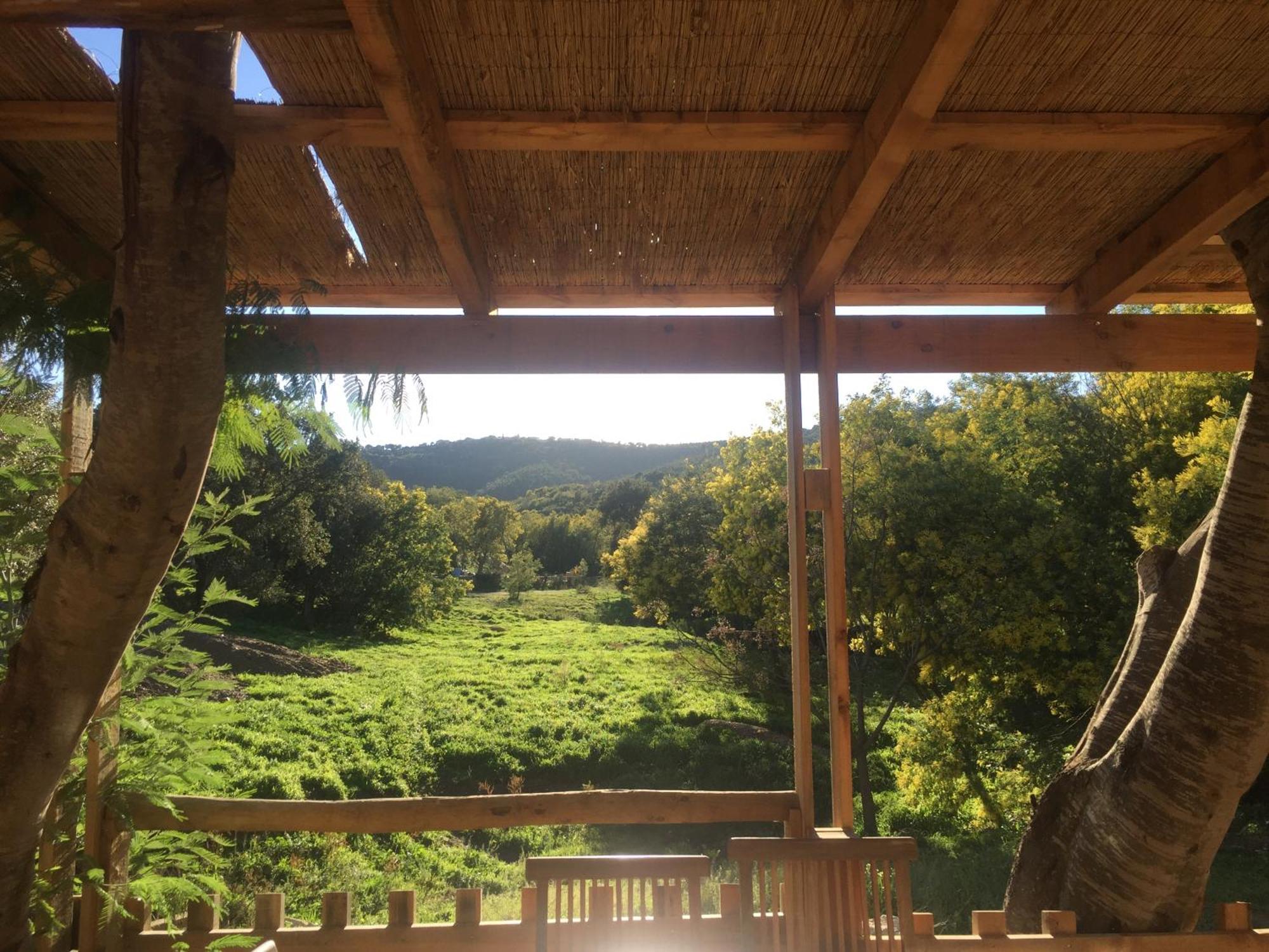 Tribu Lodge,1594756972:JPEG