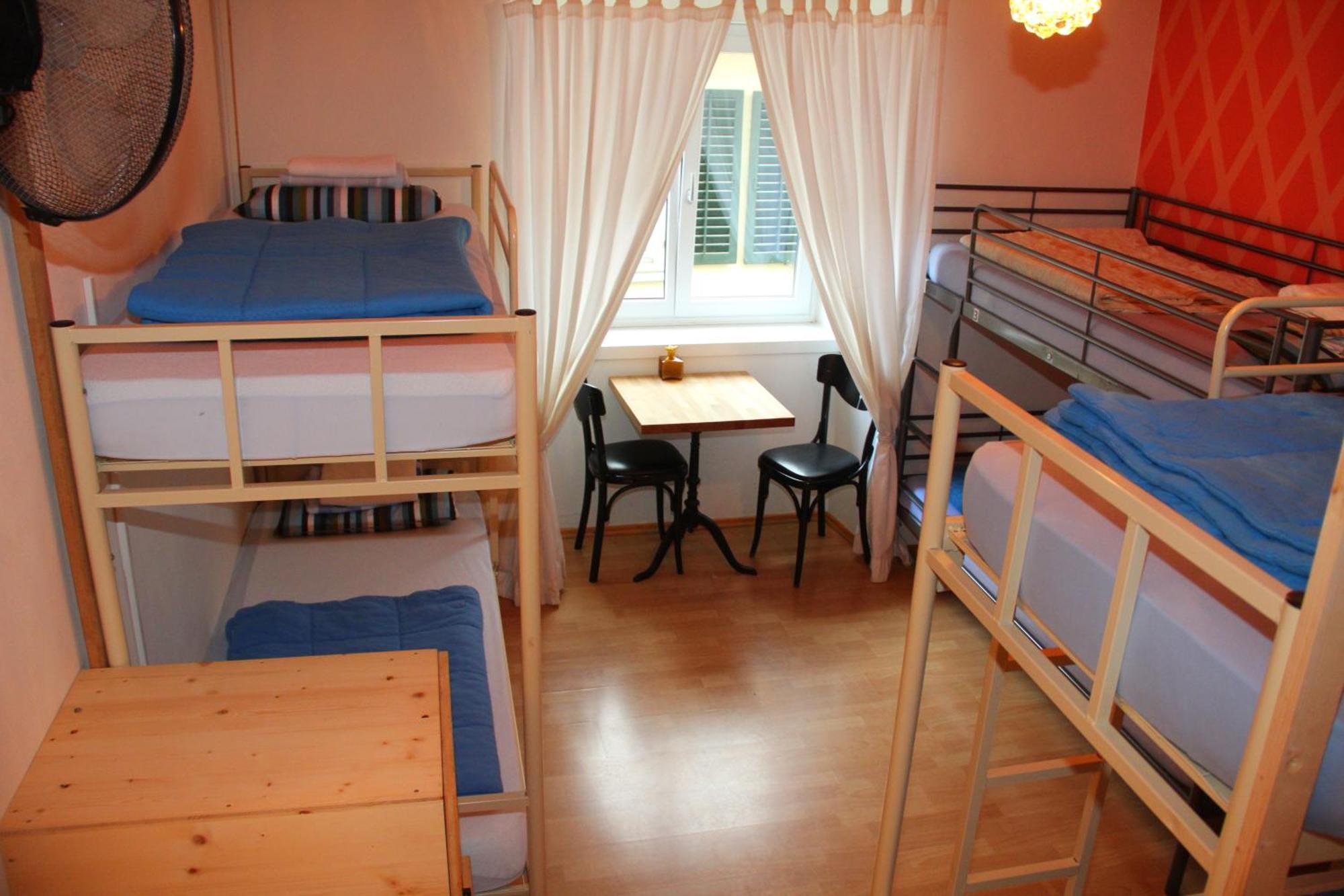 Bunk Bed Mixed Dormitory Room