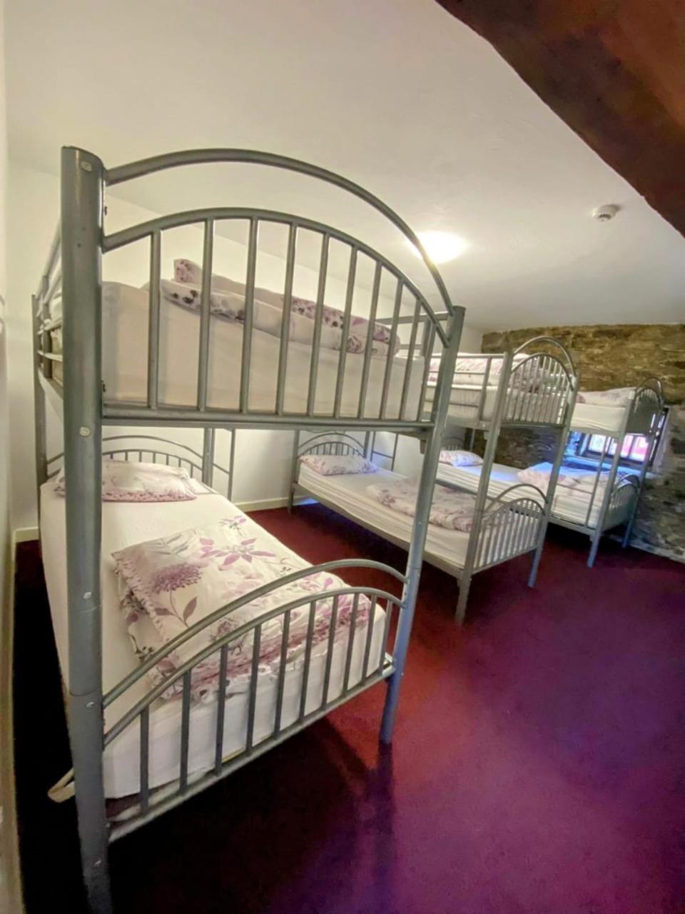 Bed in 6-Bed Dormitory Room
