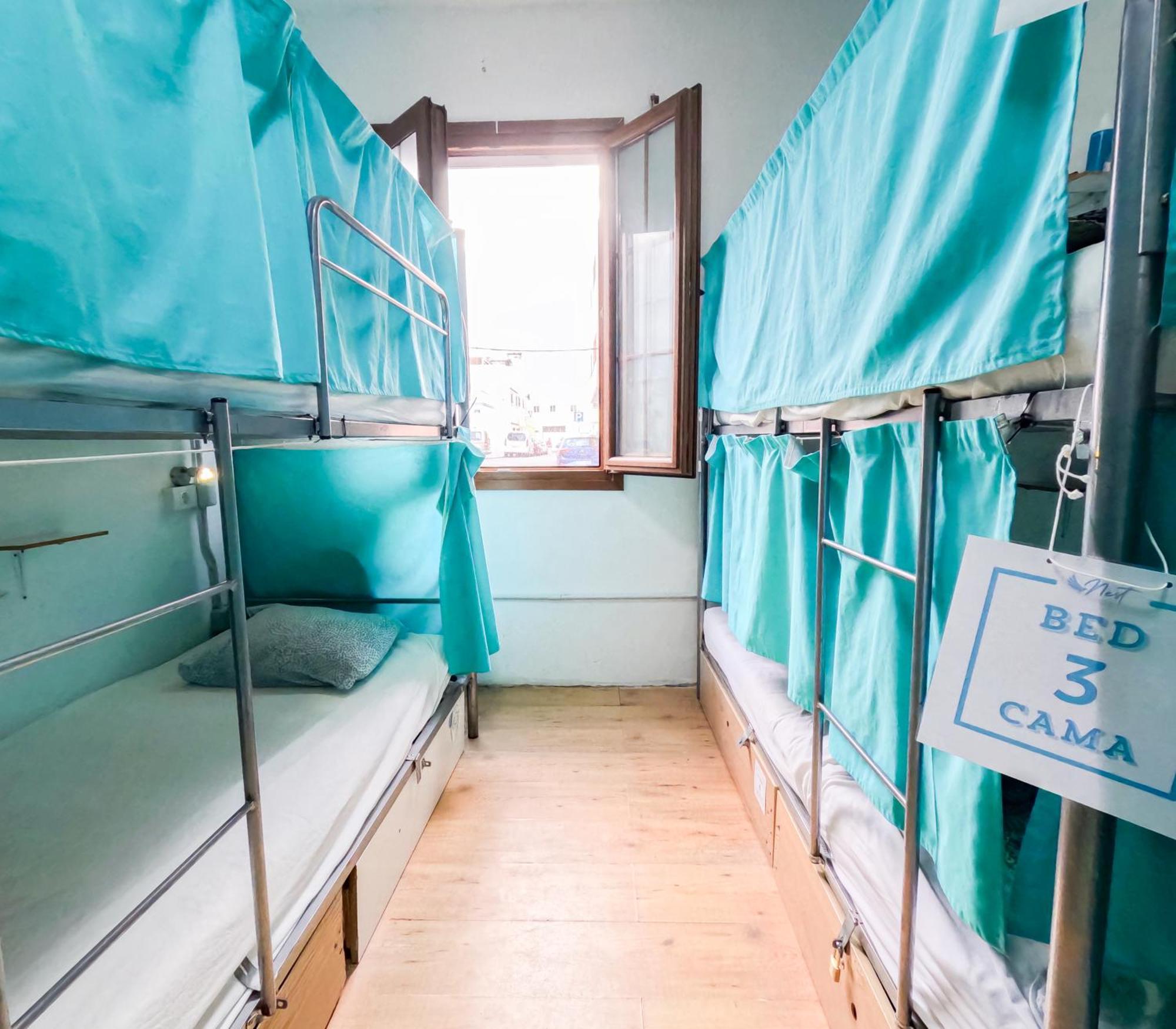 Bunk Bed Mixed Dormitory Room