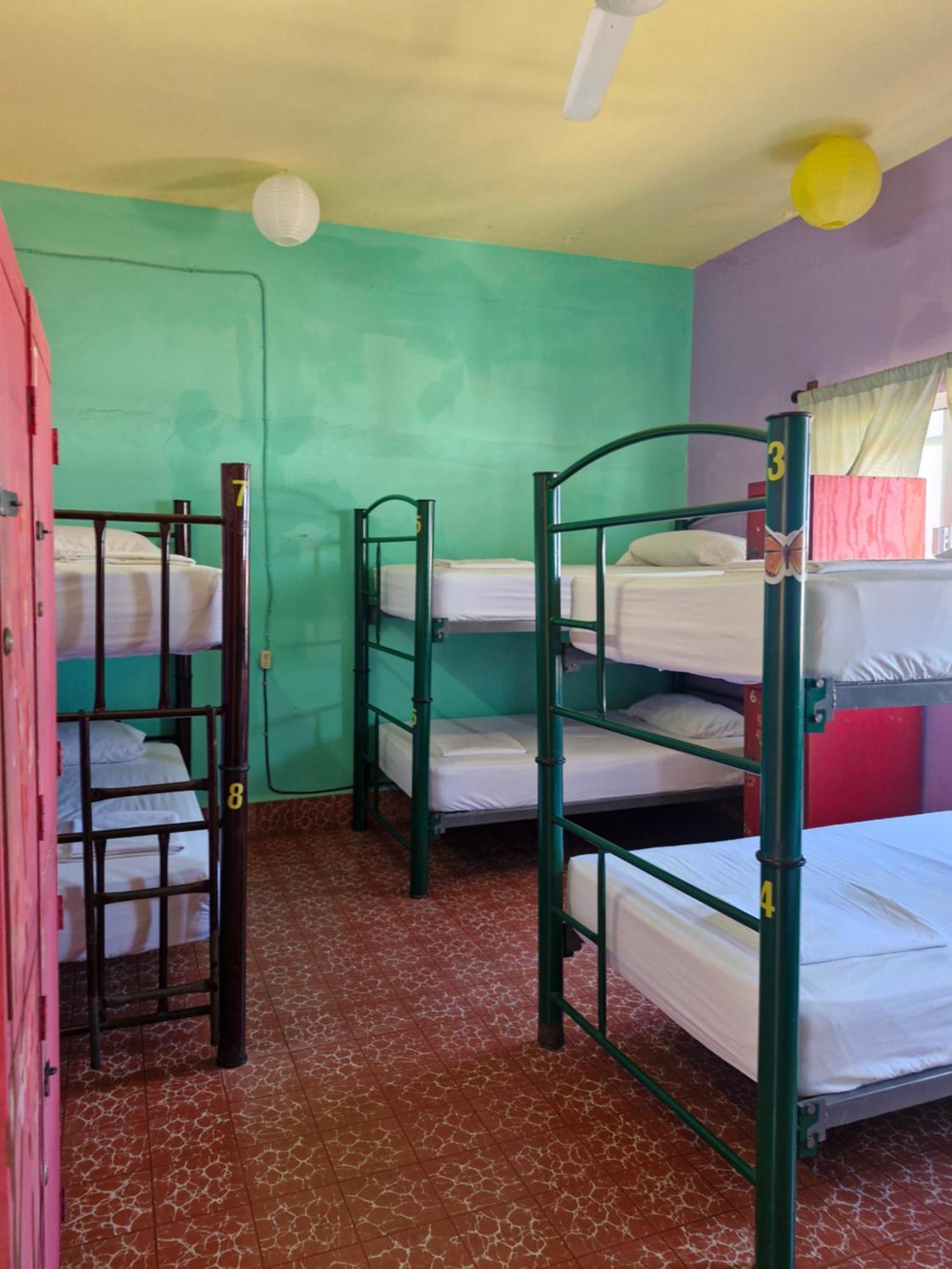 Single Bed in Female Dormitory Room,1645660007:JPEG