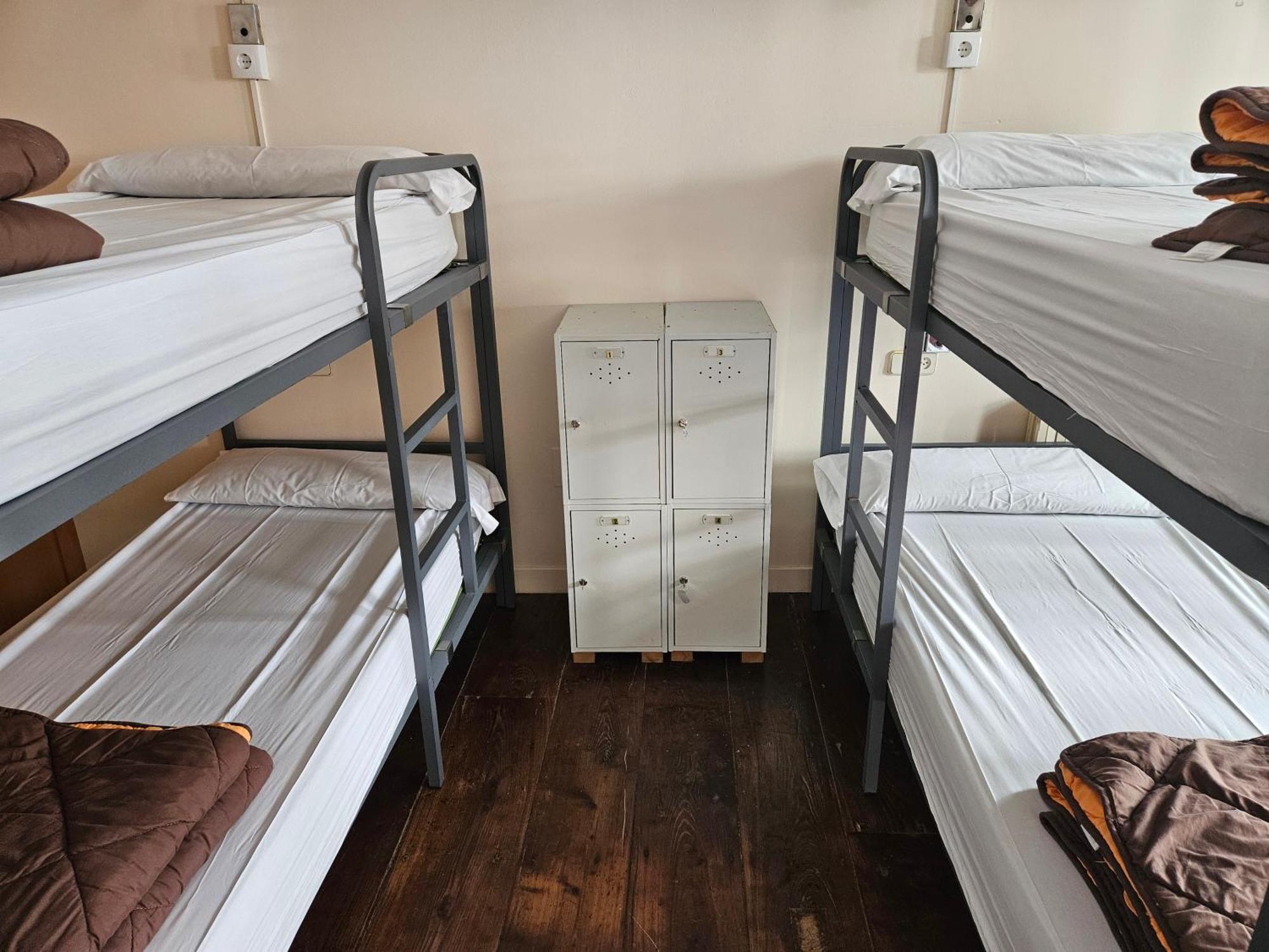 Bunk Bed Mixed Dormitory Room