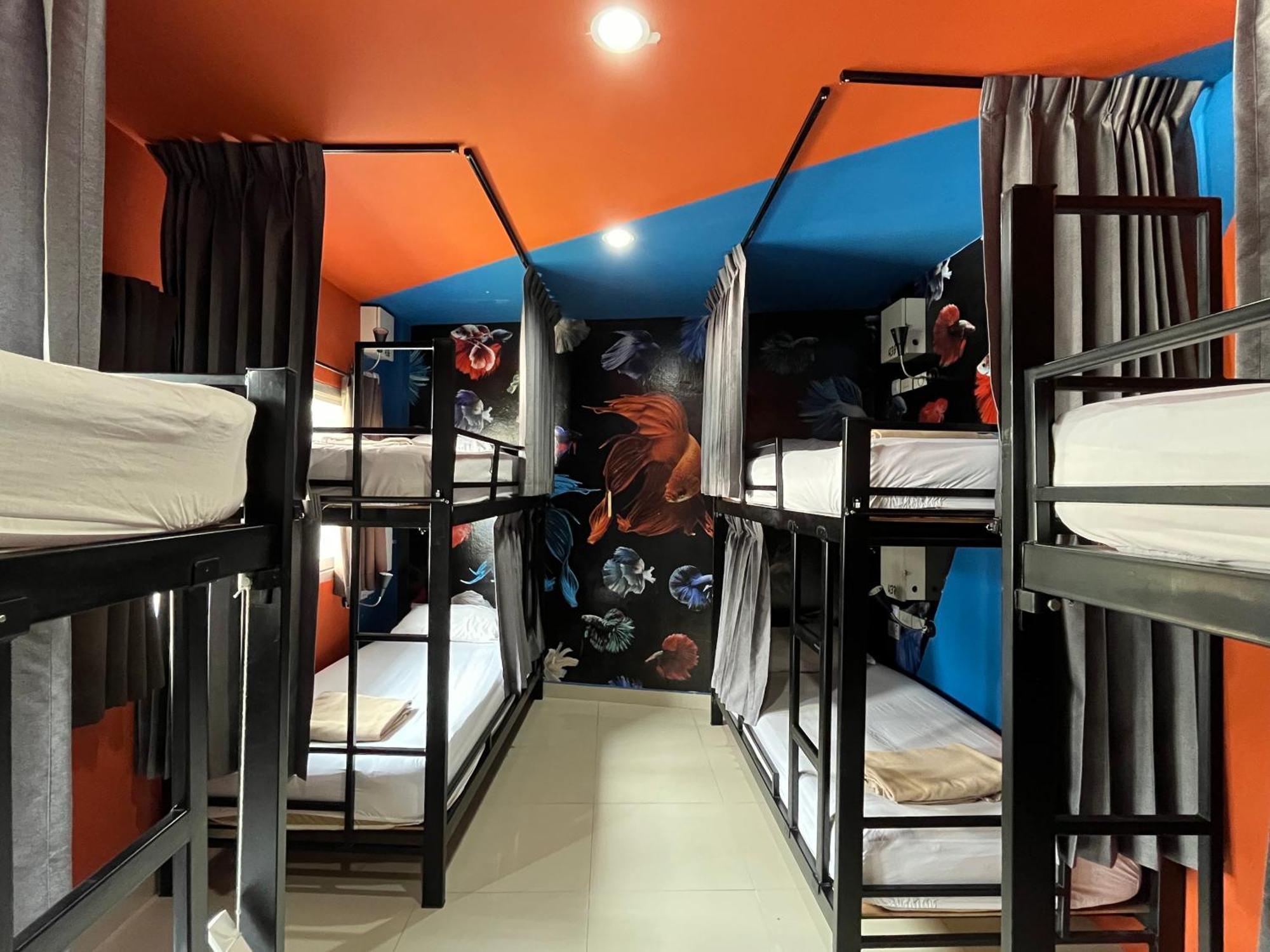 Bett im gemischten Schlafsaal mit 8 Betten