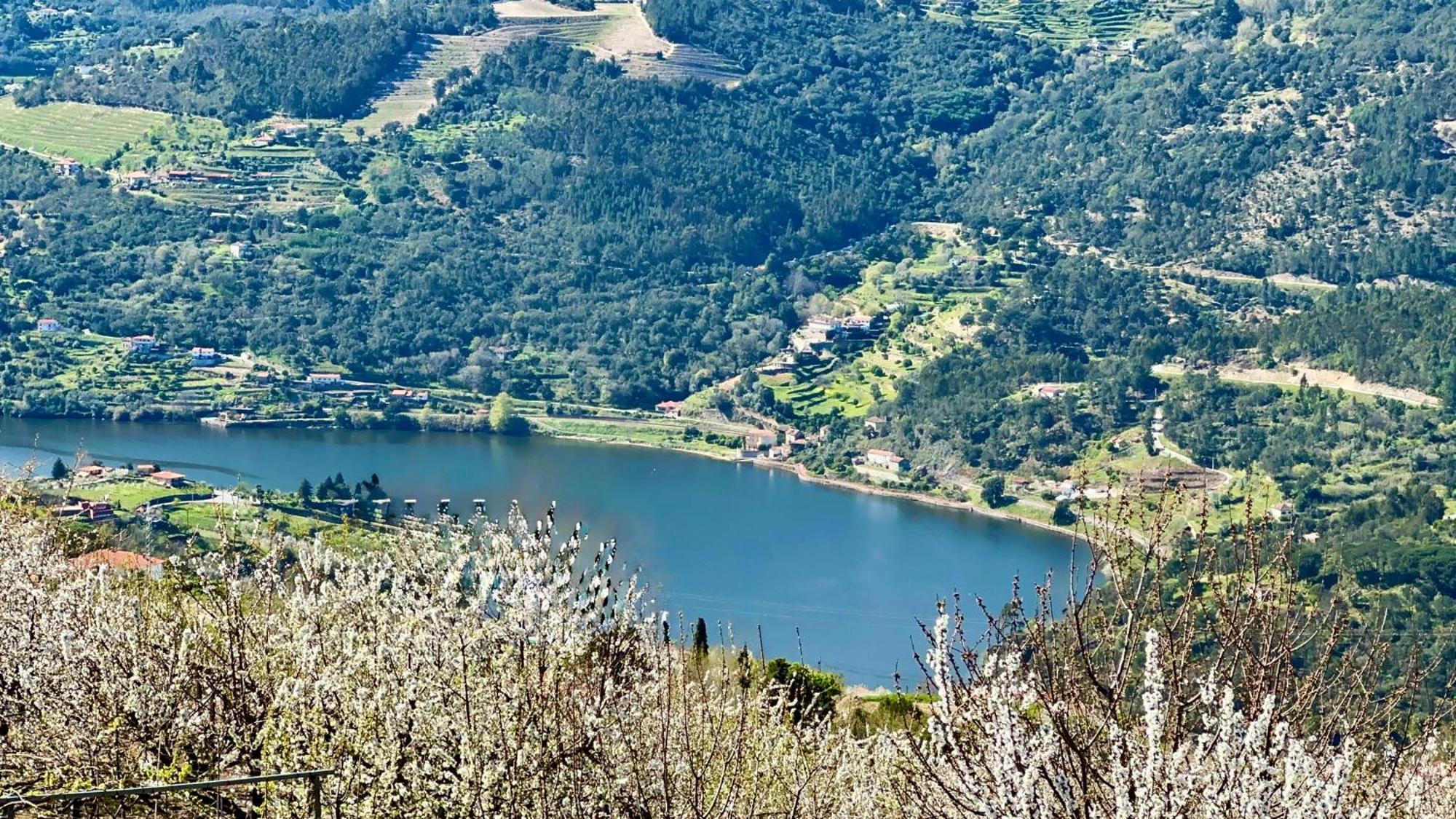 Double Room with River View,1678672330:JPEG