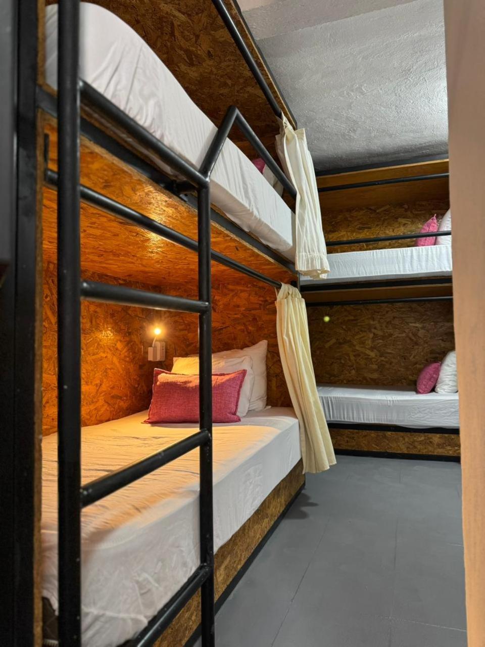 Bed 6-Bed Female Dormitory Room