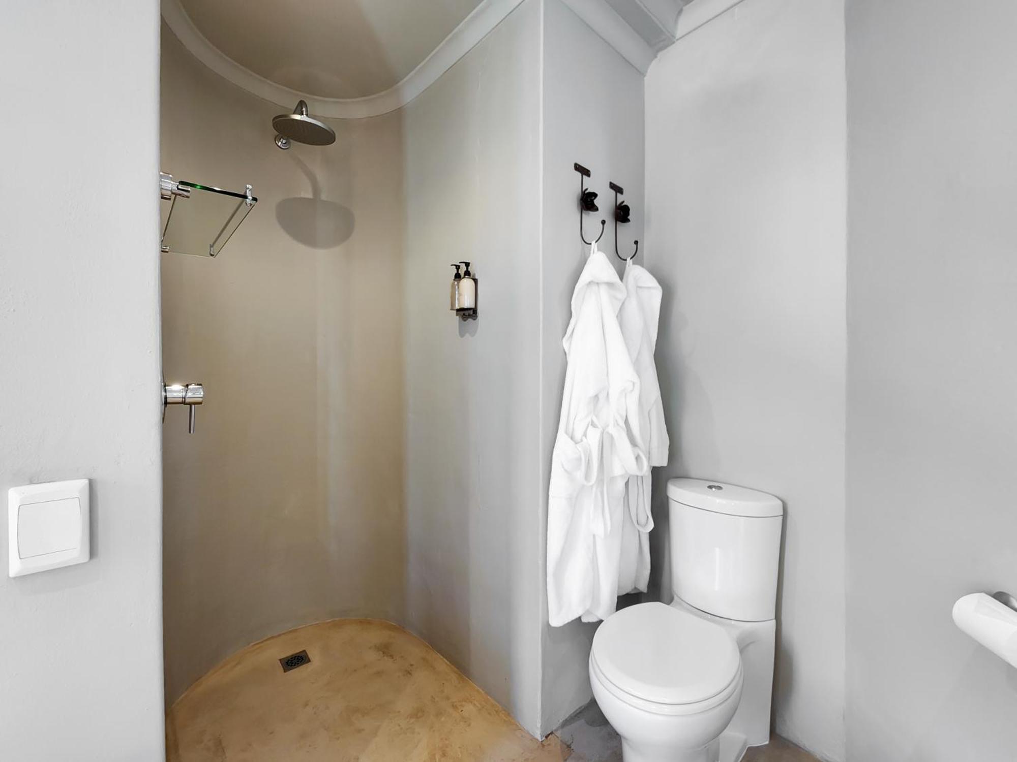 Deluxe Suite 202 or Bath & Rain Shower