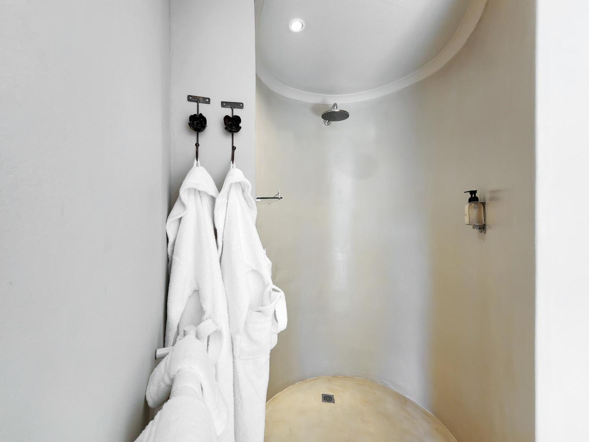 Deluxe Suite 303 or Kitchenette