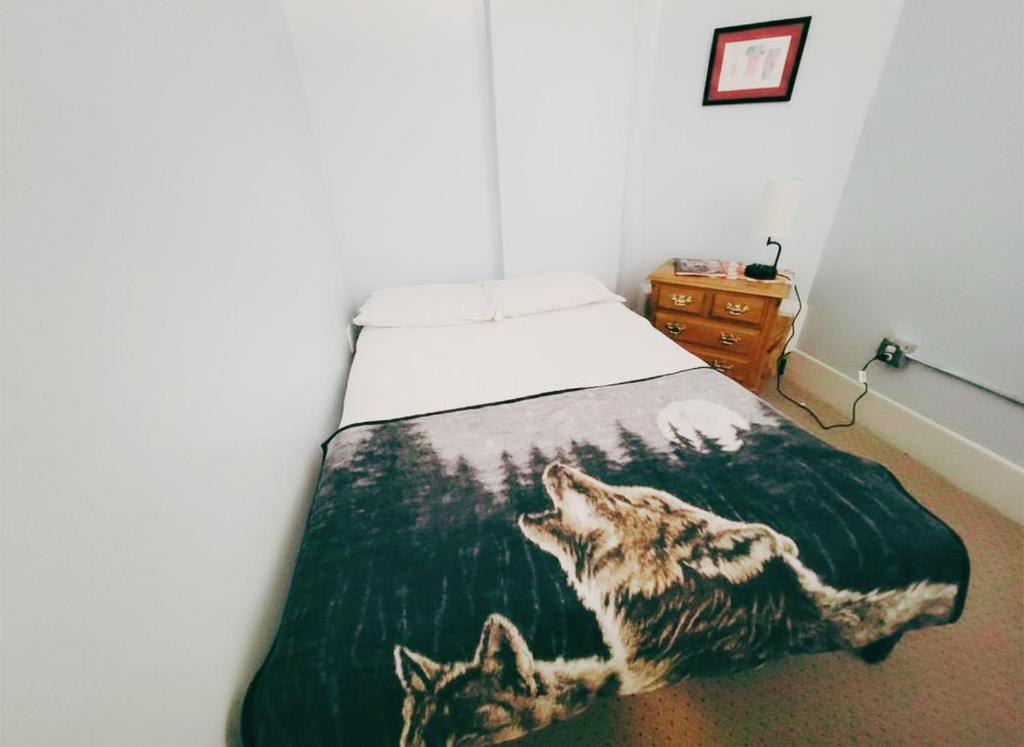 Single Bed in Mixed Dormitory Room