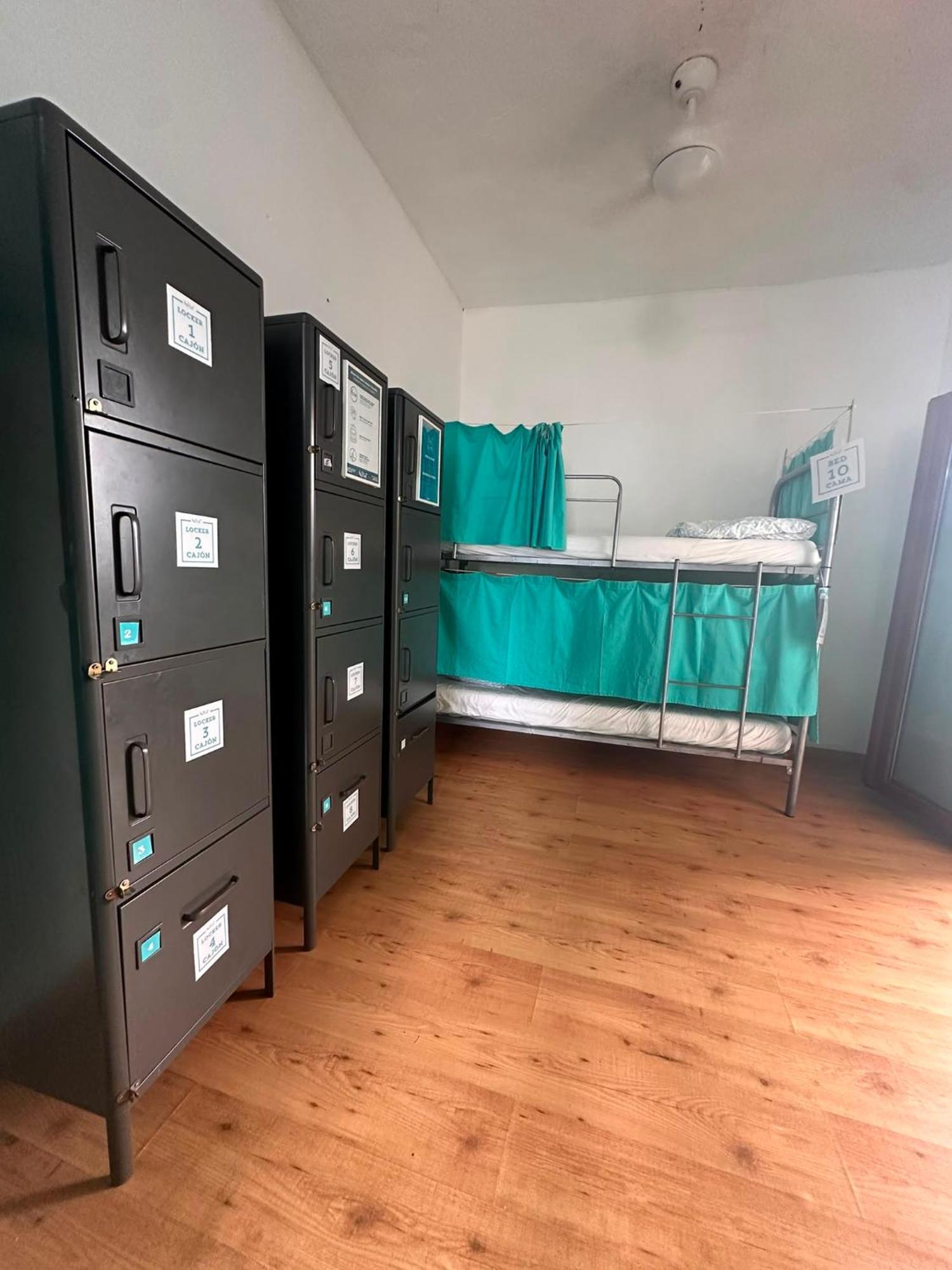 Bunk Bed Mixed Dormitory Room