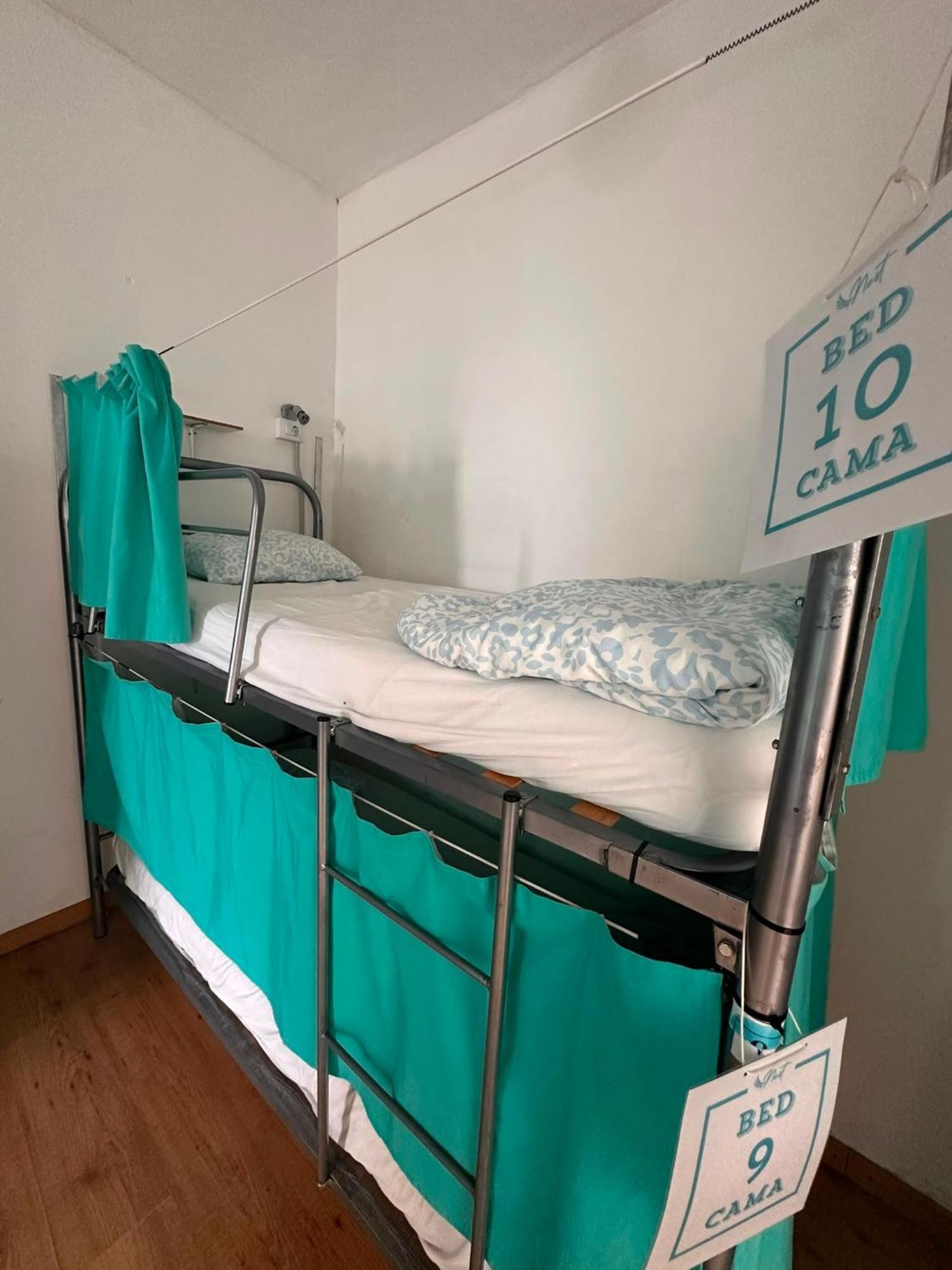 Bunk Bed Mixed Dormitory Room