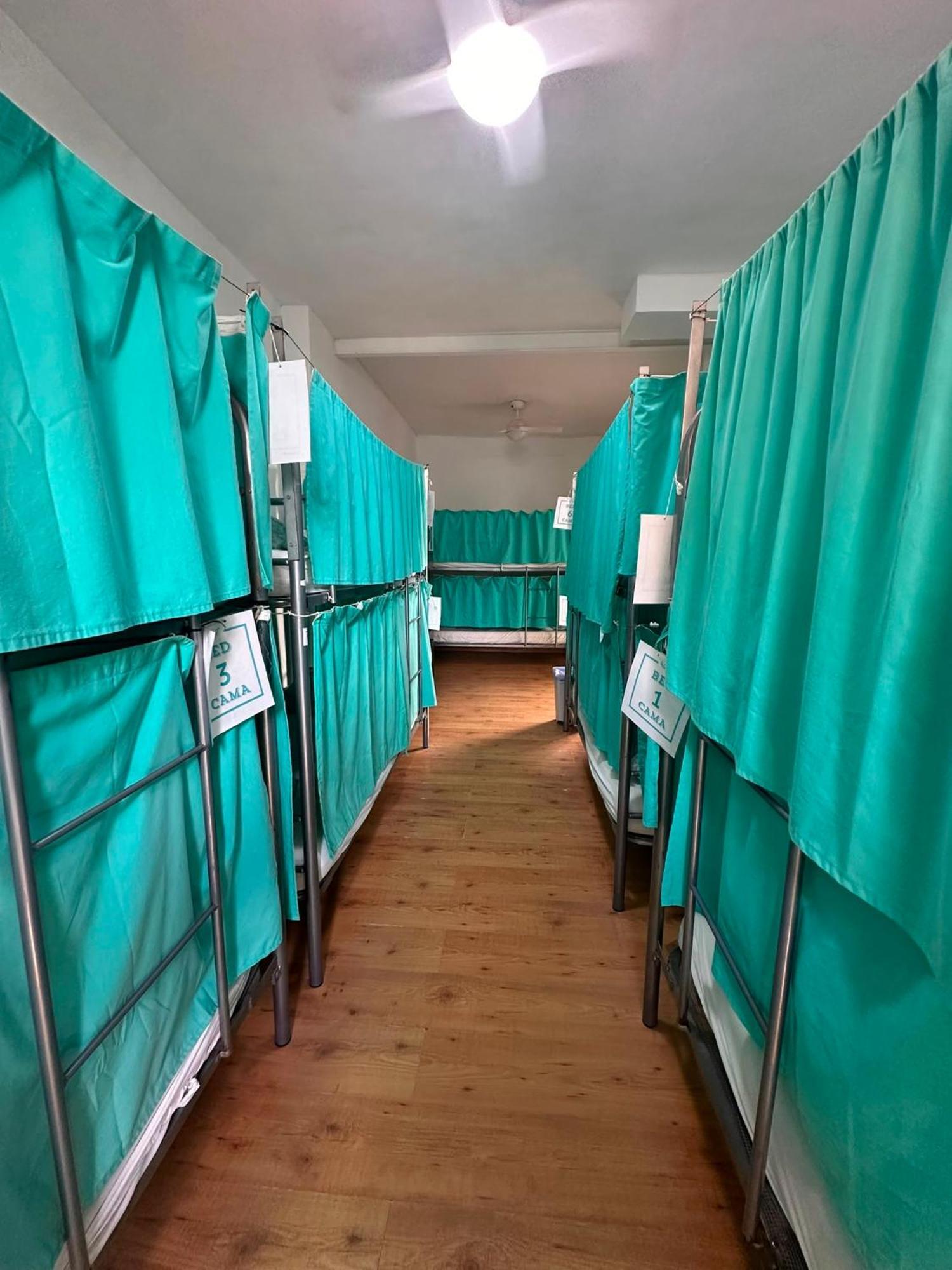 Bunk Bed Mixed Dormitory Room