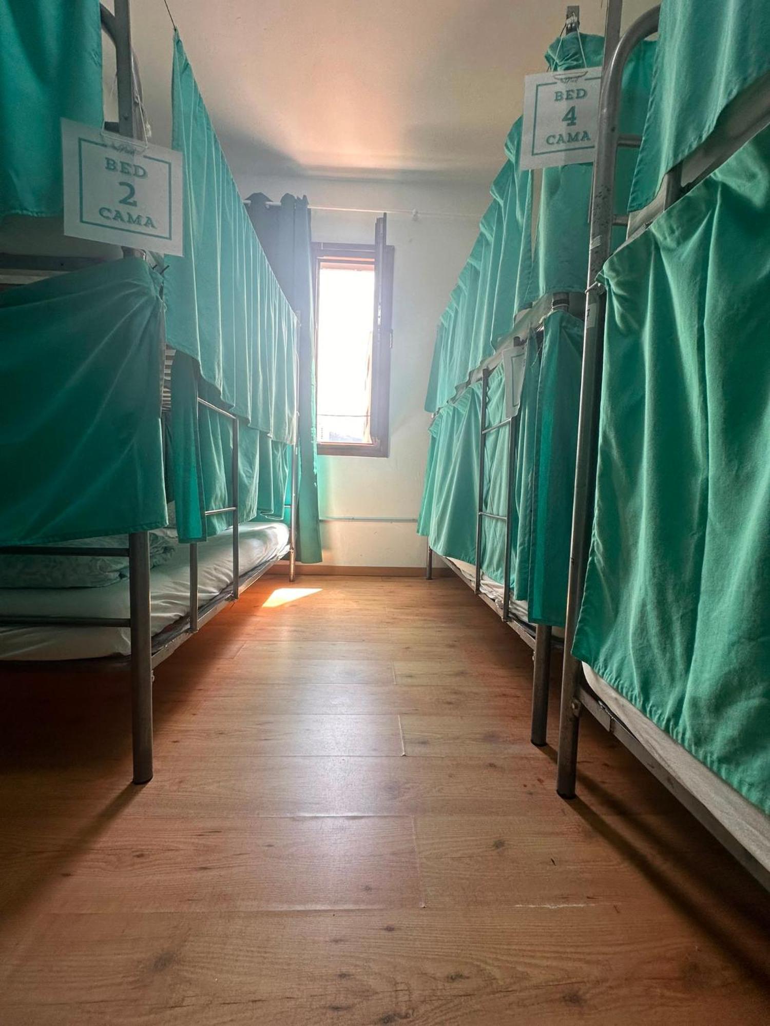 Bunk Bed Mixed Dormitory Room