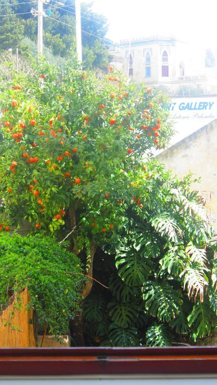 Two-Bedroom House,205250116:JPEG