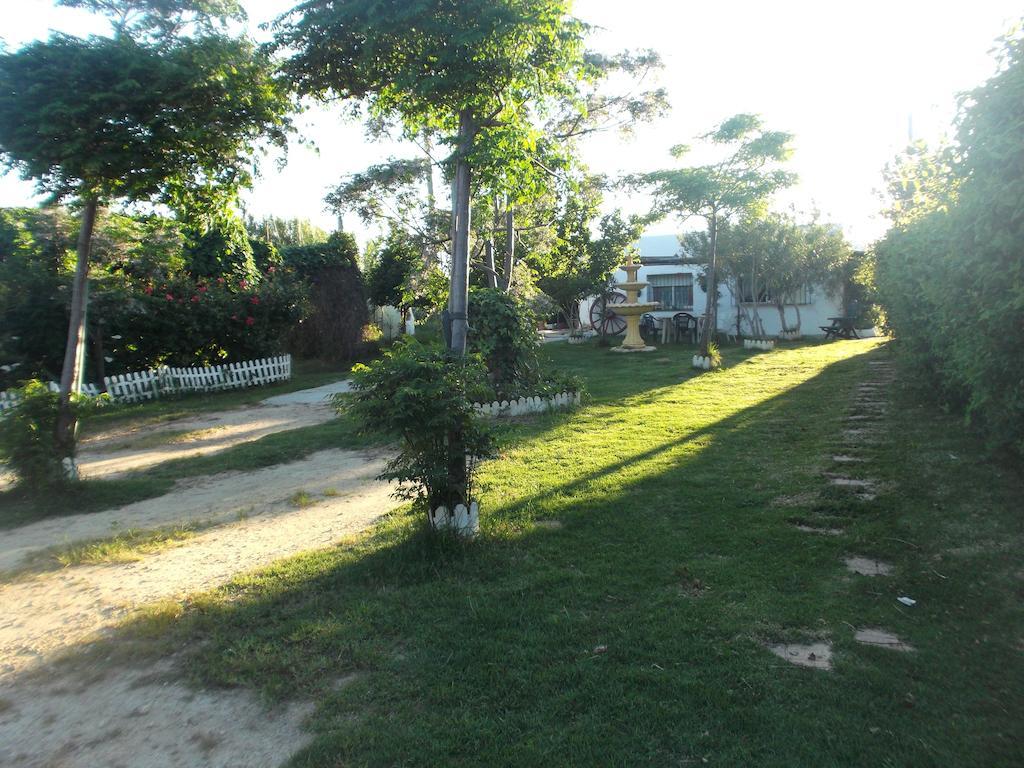 One-Bedroom House,1104865743:JPEG