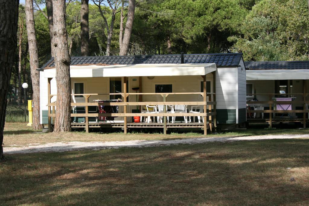 Mobile Home,233691616:JPEG