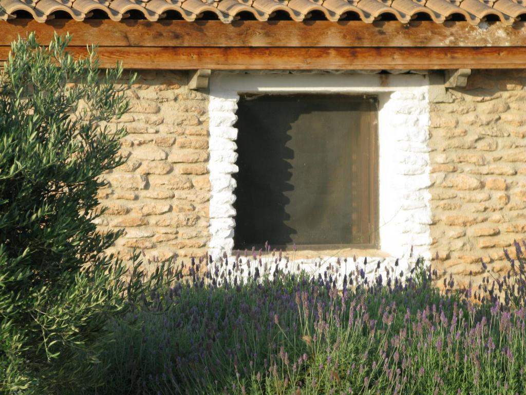 Two-Bedroom Cave