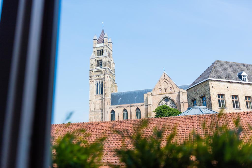 Superior Apartment,323883748:JPEG