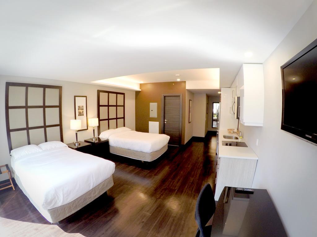 Two King Bed Studio,446443929:JPEG