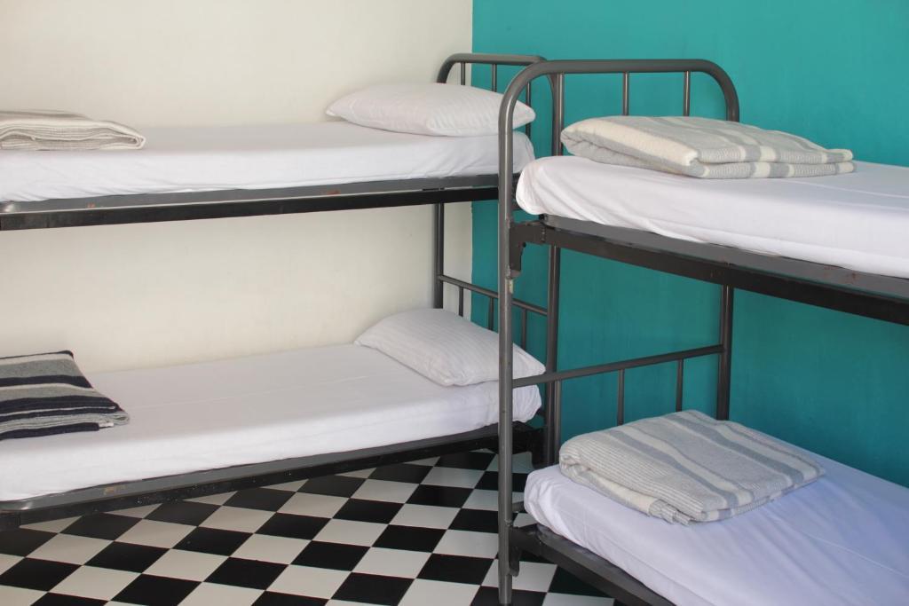 Lit dans Dortoir de 4 Lits avec Salle de Bains Commune