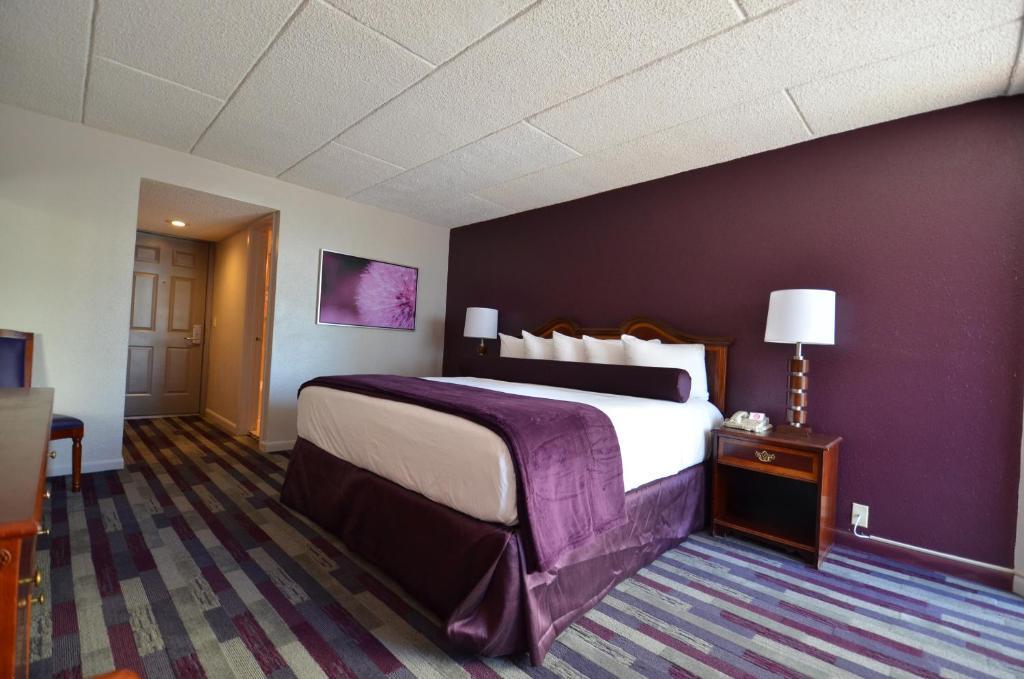 Kamer met Kingsize Bed