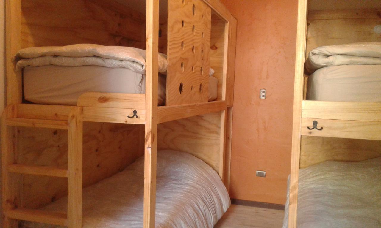 Bunk Bed in Mixed Dormitory Room,631824243:JPEG