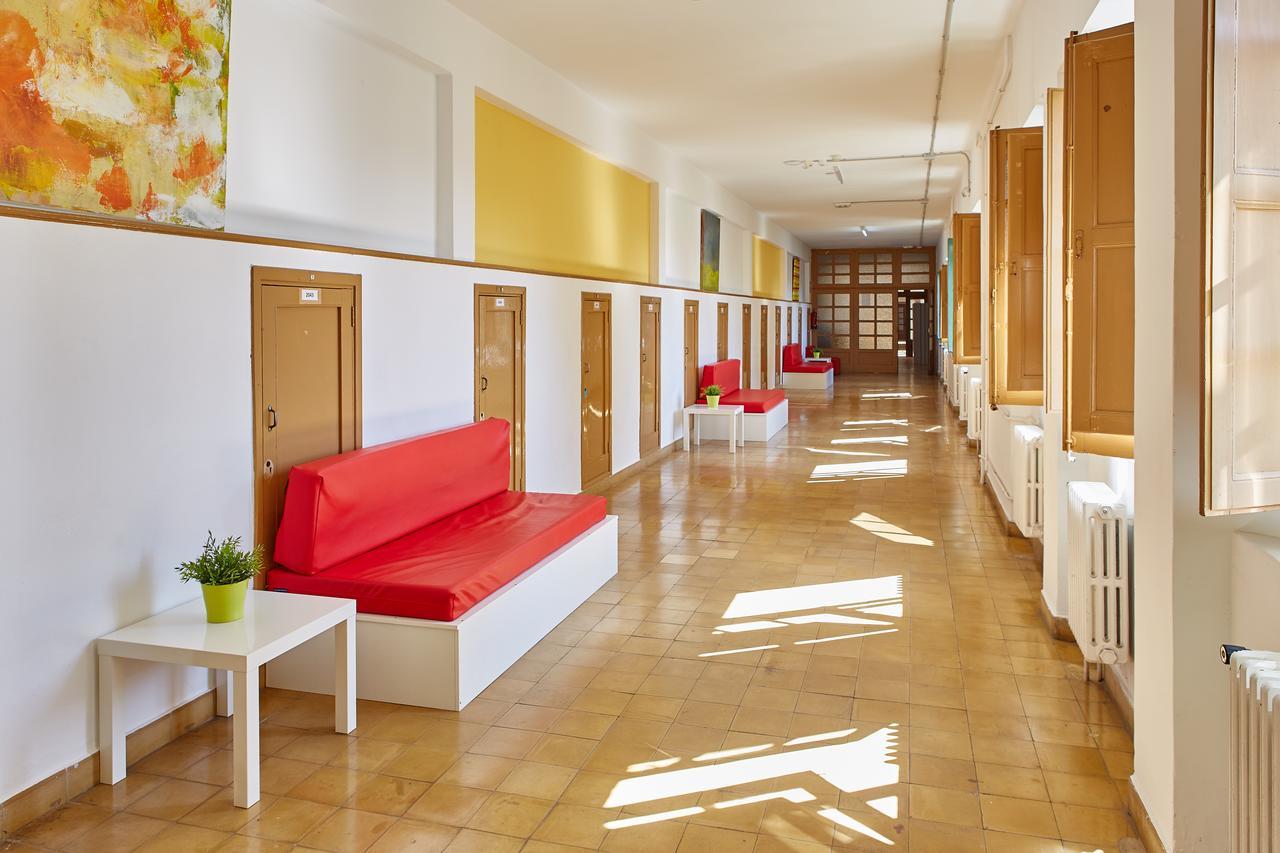 Single Bed Mixed Dormitory Room
