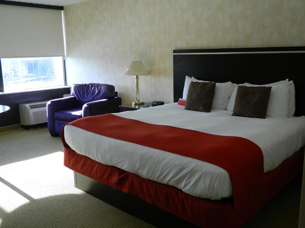 Deluxe Suite,752260538:JPEG