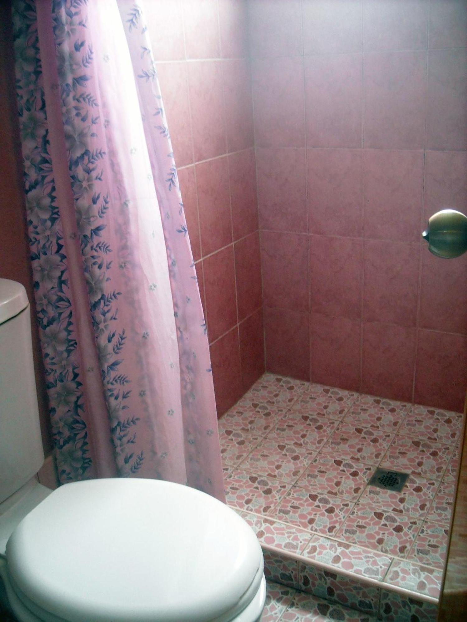6-Bed Mixed Dormitory Room,685773111:JPEG