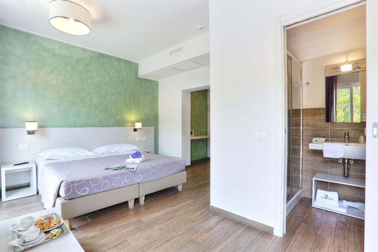 Superior Double Room Terrace Pinewood View