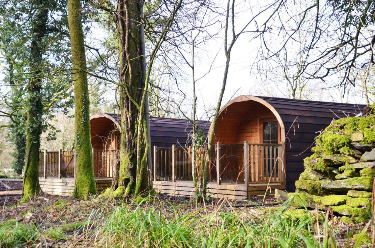 Woodland Glamping Pod,1026133984:JPEG