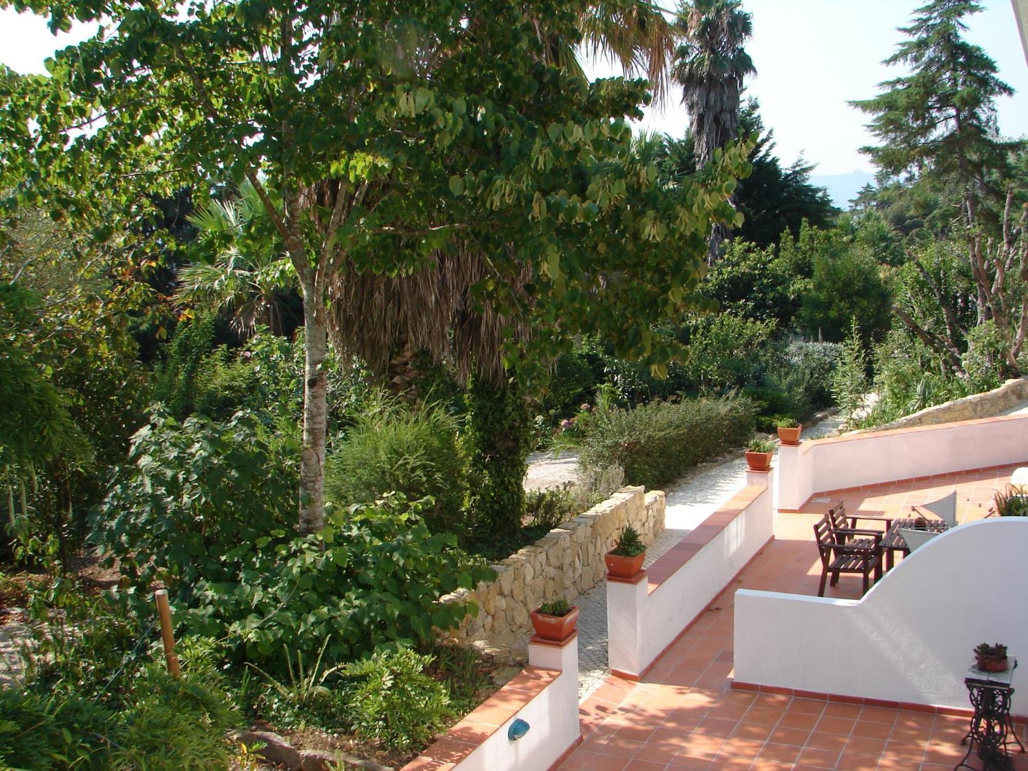 Family Room Terrace