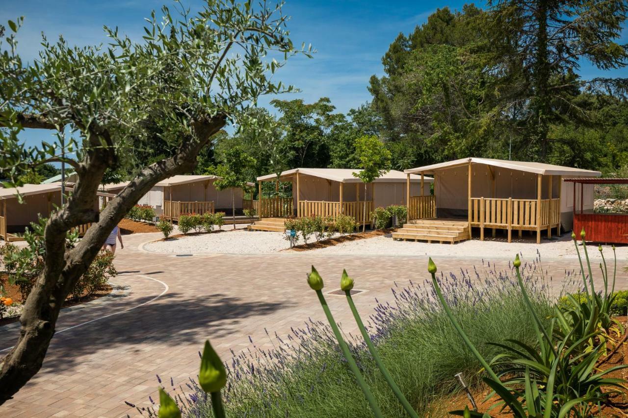 Family Two-Bedroom Tent Terrace