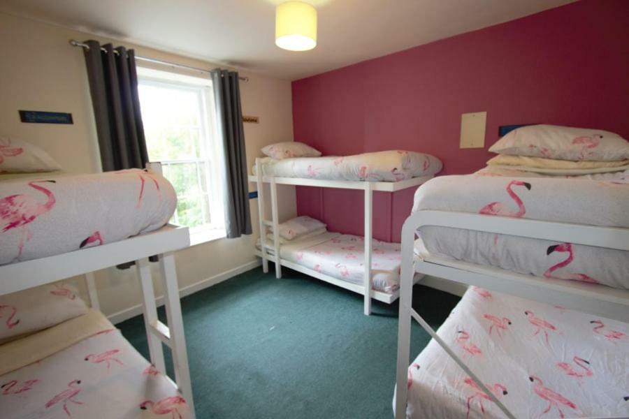 Bed in 6-Bed Female Dormitory Room