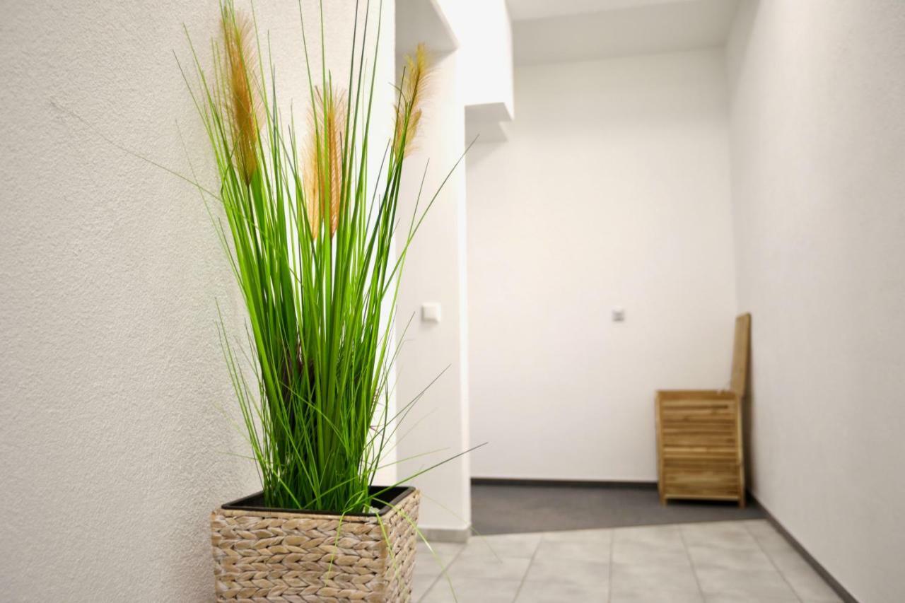Bett im 8-Bett-Schlafsaal