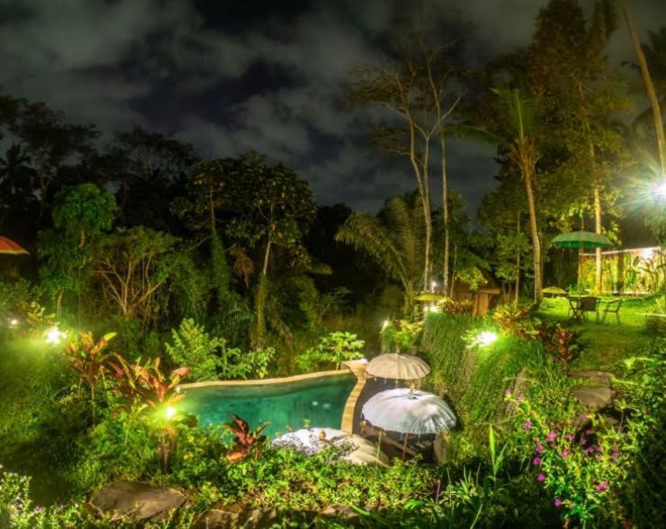 Superior Villa